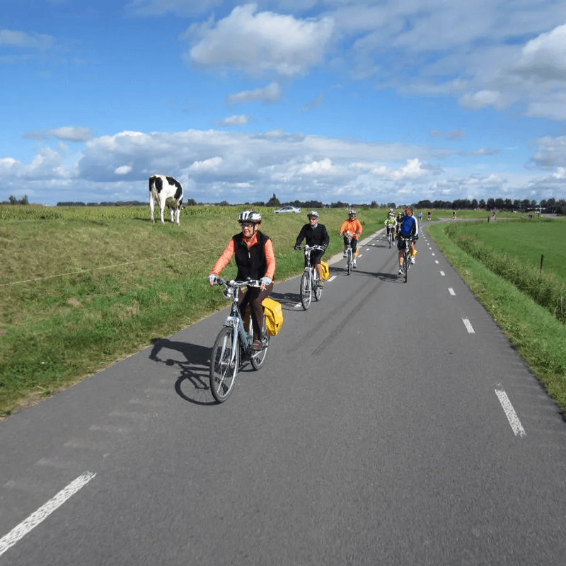 Webdesign Wormer, Project Direct, Timo van Tilburg, Snel een Webdesigner Wormer, Website laten maken Wormer, Website laten bouwen Wormer, SEO Wormer, SEA Wormer, Online Marketing Wormer, Wordpress Wormer, Webdesign Zaanstad, Website laten maken Zaanstad, Webdesign Zaandam, Website laten maken Zaandam, Zoekmachine optimalisatie Wormer