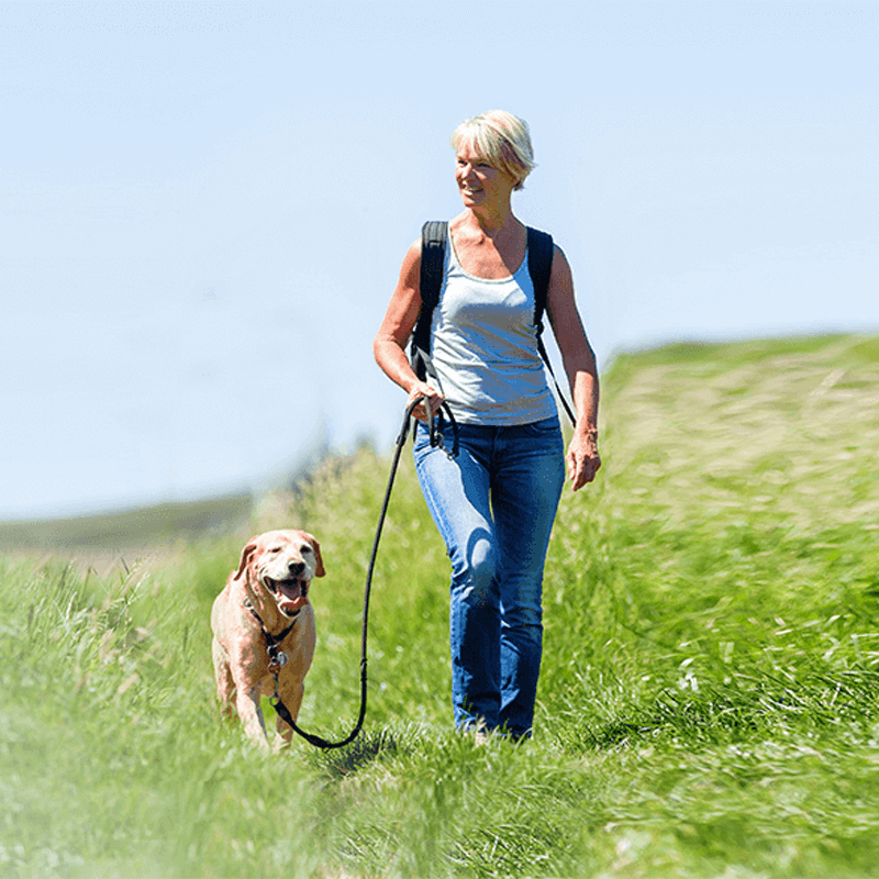 Webdesign Wormer, Project Direct, Timo van Tilburg, Snel een Webdesigner Wormer, Website laten maken Wormer, Website laten bouwen Wormer, SEO Wormer, SEA Wormer, Online Marketing Wormer, Wordpress Wormer, Webdesign Zaanstad, Website laten maken Zaanstad, Webdesign Zaandam, Website laten maken Zaandam, Zoekmachine optimalisatie Wormer